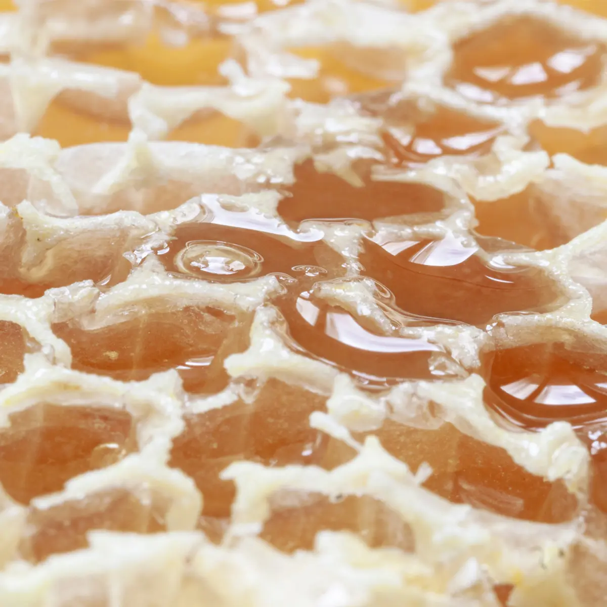 Panal de miel - Imagen 3