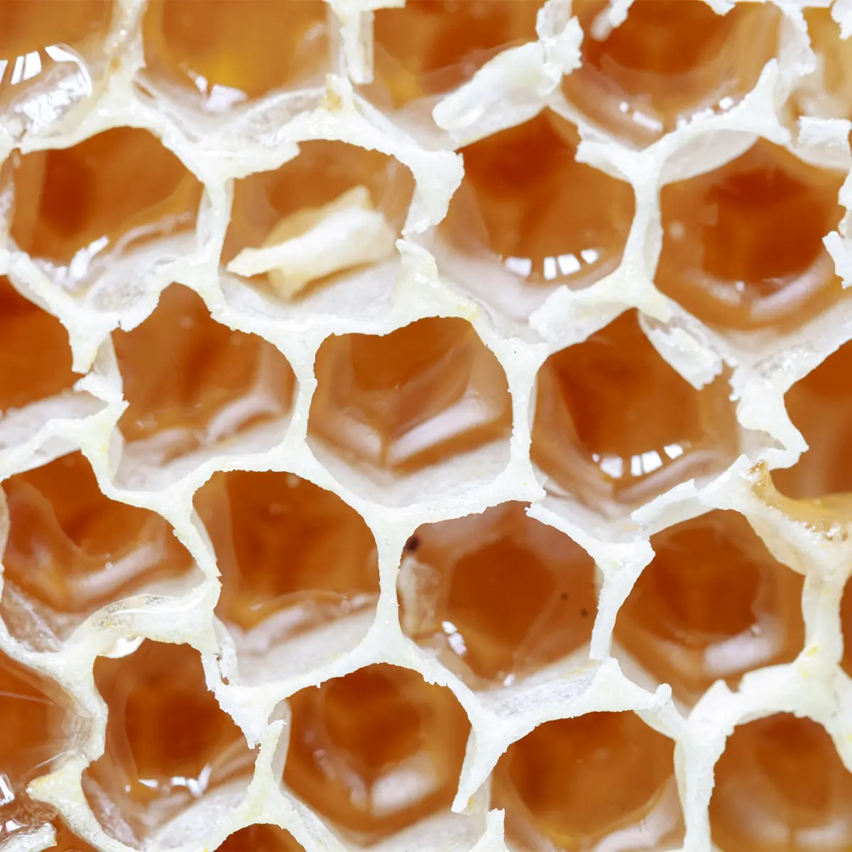 Panal de miel - Imagen 2